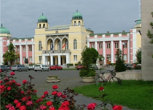 Ismerje meg Moh&aacute;csot